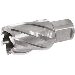 vendita online Frese a corona in acciaio hss-co5, rettificate; 30 mm Frese Sicutool