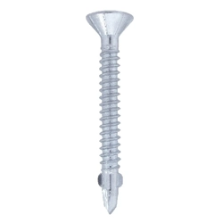vendita online Vite tps autoperforante zincata torx apa3 Viti Friulsider