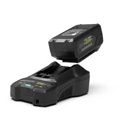 vendita online Starter kit gsk4824b2 batteria 48/24v 2/4ah + caricabatteria 4a Ricambi e accessori per elettroutensili da giardino Greenworks