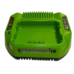 vendita online Caricabatteria 60v g60uc Ricambi e accessori per elettroutensili da giardino Greenworks