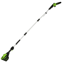 vendita online Potatore ad asta a batteria 60v 2ah Tagliasiepi e potatori Greenworks