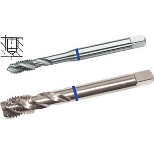 Vendita online MASCHI A MACCHINA CON COLLARINO BLU