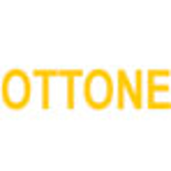 Vendita online SPAZZOLE IN OTTONE A DISCO CON FORO CENTRALE